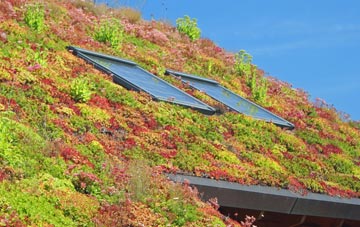 Fontmell Parva living roof systems